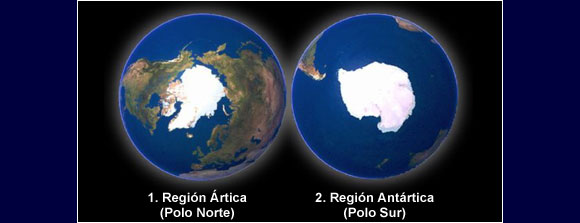 artic y antartic